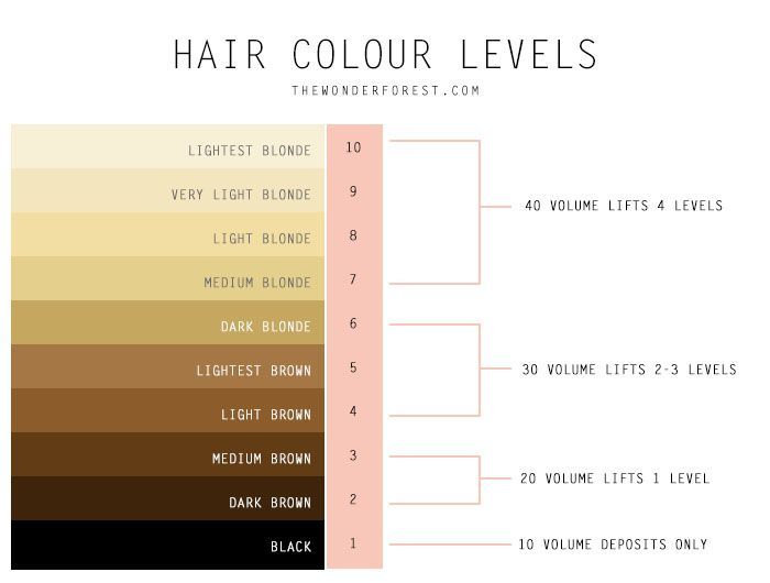 How to Measure Hair Color and Developer